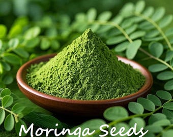 Moringa Seeds – Drumstick Tree Seeds, Fast-Growing , High Germination, Easy to Grow (Moringa oleifera)