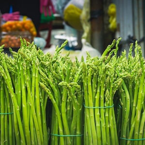 Mary Washington Heirloom 5 Bare Roots 2 Year Green Asparagus Crowns
