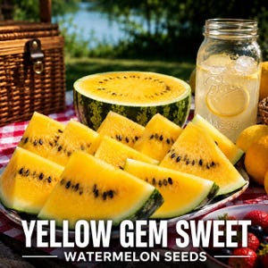 May include: A platter of sliced yellow watermelon with dark seeds, a half watermelon, and a glass mason jar filled with lemonade. The text reads YELLOW GEM SWEET WATERMELON SEEDS. The scene is set on a red and white checkered tablecloth.