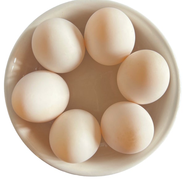 Barnyard Mix Fertile Duck Eggs 12 CT