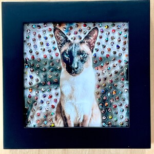 Custom Pet Portrait from photo - Custom Cat Portrait