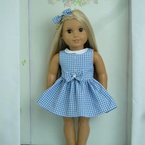 May include: A doll with long blonde hair wearing a blue and white gingham dress with a white collar and a matching bow. The doll is positioned in front of a floral backdrop with the letter "X".