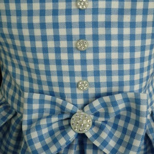 May include: Close-up of a blue and white gingham dress. The dress has a bow with a large, sparkly button and three smaller buttons down the front. The fabric is a classic checkered pattern, creating a vintage aesthetic.