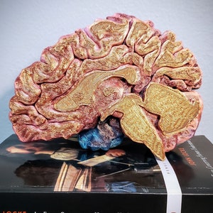 May include: A 3D printed model of a human brain, painted in shades of pink and gold, resting on a book titled "An Essay Concerning Human Understanding" by John Locke. The book is a classic work of philosophy.