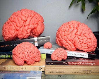 BRAINS ~ Ultra HD 3D Print from MRI Scan!