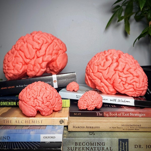 BRAINS ~ Ultra HD 3D Print from MRI Scan!