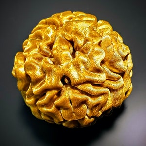 Puede incluir: Un objeto dorado, texturizado, de forma orgánica que se asemeja a un cerebro. El objeto tiene una superficie lisa y brillante y un diseño complejo e intrincado.