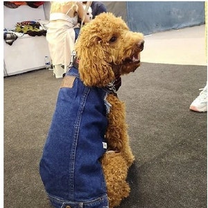 Denim jeans jacket for dogs