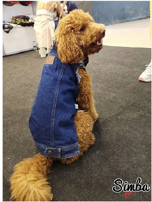 Levis dog t shirt outlet