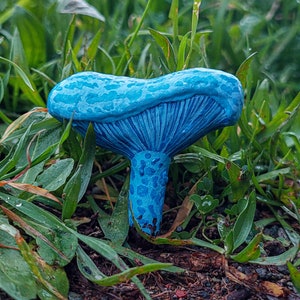 Lactarius indigo - Etsy México