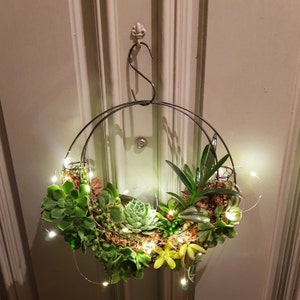 Succulent Wreath 28cm half moon Live plants Indoor outdoor vertical garden décor Baskets Special Gifts Christmas Birthday Anniversary image 5