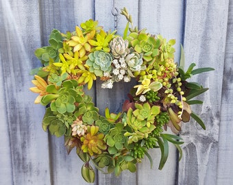 Heart Shape Succulent Wreath - Live plants Indoor Outdoor décor Special Gifts - Birthday Anniversary House-warming Christmas gift