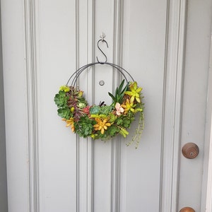 Succulent Wreath 28cm half moon Live plants Indoor outdoor vertical garden décor Baskets Special Gifts Christmas Birthday Anniversary image 3