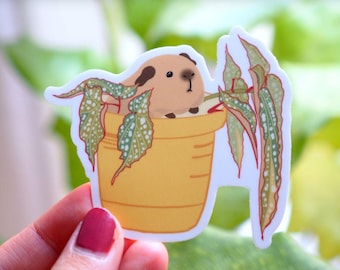 Guinea Pig Sticker With Begonia Plant, Piggy x Plants Collection Spring 2022, Vinyl, Die Cut, Waterproof, Birthday Gift, Polka Dots