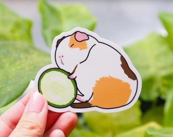 Guinea Pig Cucumber Sticker, Sleeping Guinea Pig Hugging Cucumber, Vinyl, Die Cut, Waterproof, Birthday Gift, Planner Sticker