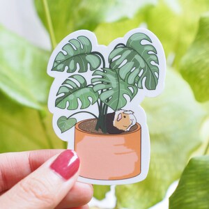Meerschweinchen-Aufkleber mit Monstera-Pflanze, Piggy x Plants-Kollektion Frühling 2022, Vinyl, gestanzt, wasserfest, Geburtstagsgeschenk, Monstera-Aufkleber