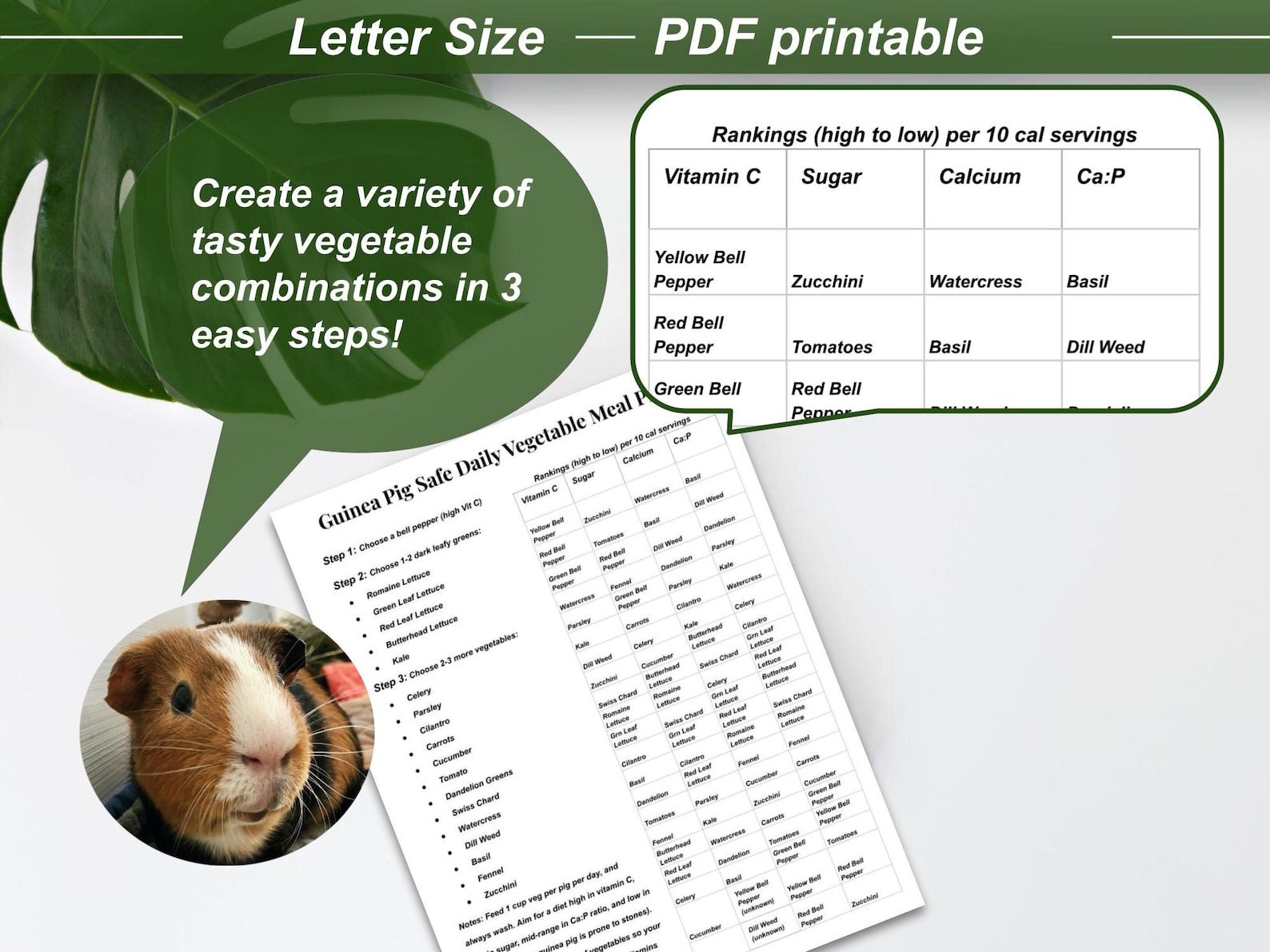 Picture of Guinea Pig Safe Vegetable Guide, Nutrition Ranking (digital Download ...