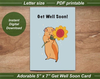 Printable Guinea Pig Sunflower Get Well Soon Card, 5 x 7 Card, Instant Digital Download, Guinea Pig Card, Guinea Pig Art, Greeting Card