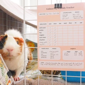 Cavia wekelijkse tracker pad, 5 x 7, cavia verzorging, cavia schema, cavia planner, cavia memoblok, cavia notitieblok