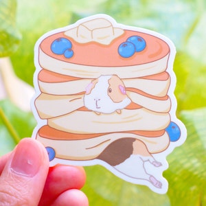 Sticker crêpes cochon d'Inde, vinyle, finition mate, découpé, imperméable, cadeau d'anniversaire, sticker cochon d'Inde, cadeau cochon d'Inde