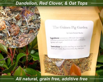 The Guinea Pig Garden - Dandelion, Red Clover, Green Oat Tops Guinea Pig Forage, Guinea Pig Treats, No Grain, No Additives, All Natural