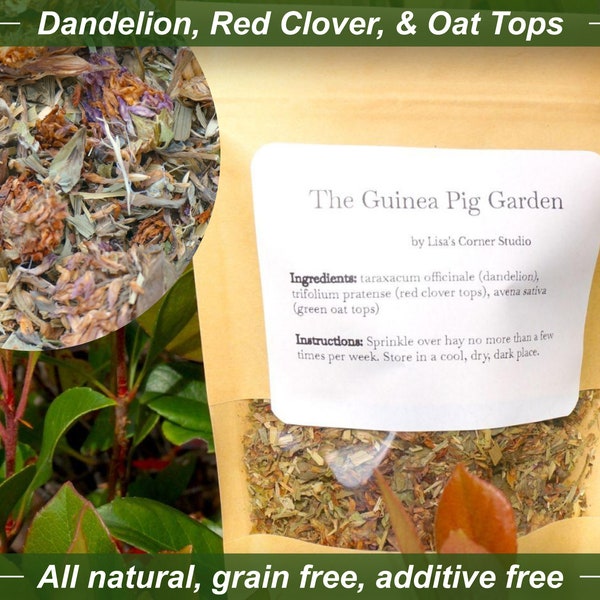 The Guinea Pig Garden - Dandelion, Red Clover, Green Oat Tops Guinea Pig Forage, Guinea Pig Treats, No Grain, No Additives, All Natural