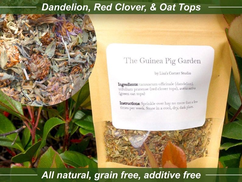 The Guinea Pig Garden Dandelion, Red Clover, Green Oat Tops Guinea Pig Forage, Guinea Pig Treats, No Grain, No Additives, All Natural image 1