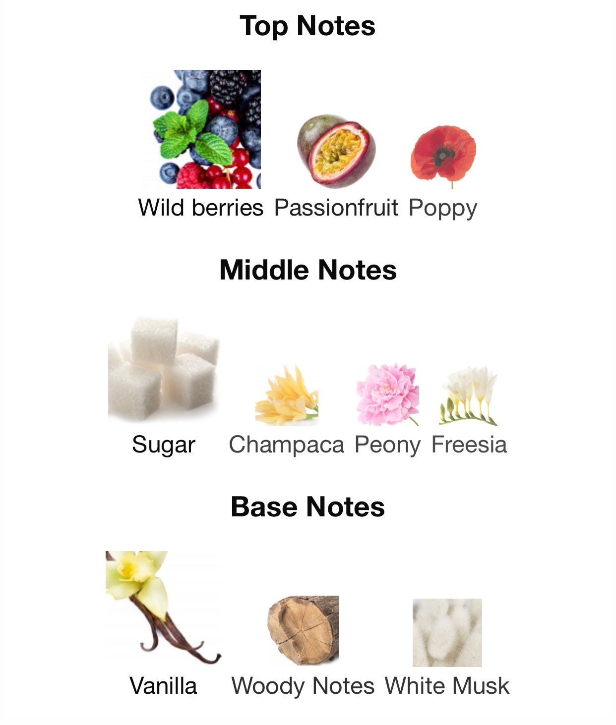 Wonderstruck perfume notes new arrivals