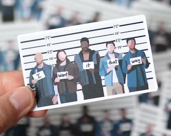 Pegatina impermeable de la formación policial del programa de televisión / calcomanía de regalo para computadora portátil, planificador, botella de agua, impermeable, estética del programa de televisión Brooklyn 99 Terry