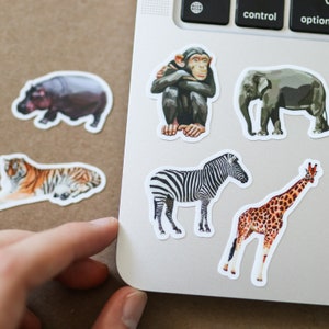 Mini Wild Animal Stickers | Waterproof, gift idea, sticker sheet, stickersheet trendy water bottle stickers, giraffe, lion, zebra, elephant