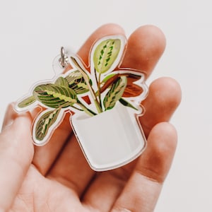 Portachiavi in acrilico con pianta / Accessori, Grazioso regalo alla moda a forma di pianta, Idea regalo, foglie, amante delle piante, portachiavi con pianta, portachiavi ispirato al verde