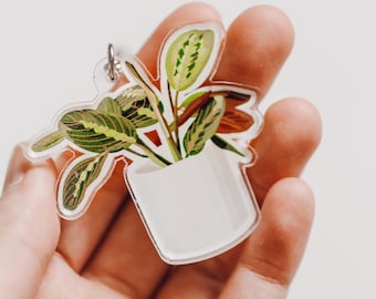 Pode incluir: Um chaveiro de acrílico transparente com uma planta em vaso com folhas verdes e marrons. A planta está em um vaso branco.