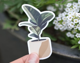 Aesthetic Plant Waterproof Sticker | gift idea Clear laptop decal planner water bottle Waterproof Hydro flask plant lover plant mom leaf