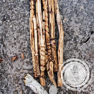 A Magick Wand Picks You