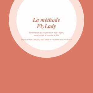 FlyLady ADHS-Ratgeber (digital) | Die „Shiny Sink“-Methode: Zonenbasierte Organisation | Ein Tool ohne schlechtes Gewissen