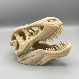 May include: A 3D printed beige dinosaur skull with a detailed jaw and teeth.