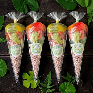 May include: Four cone-shaped cellophane bags filled with sweets and treats. Each bag is tied at the top with a twist tie and a sticker that reads "David's 9th Birthday". The bags are arranged on a dark wooden surface, with green foliage.