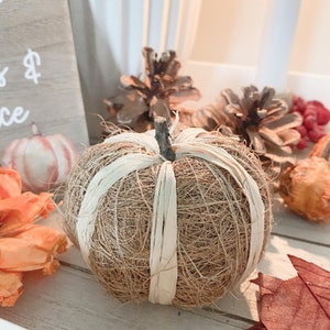 Natural Rustic Pumpkin  / Autumn, Halloween Decor / Contemporary Home Decor Pumpkin Spice