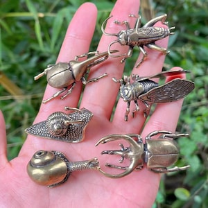 Set of 6 Brass beetle insect Statue, Solid Brass Copper Decorative insect Collectible Fine Animal Table Decor Bug Ornaments Paperweight ZF14