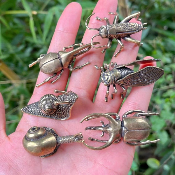 Set of 6 Brass beetle insect Statue, Solid Brass Copper Decorative insect Collectible Funny Animal Table Decor Crafts Ornament Paperweight