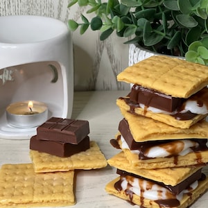 S’MORES WAX MELT Food Wax Melt Wax Melt for Wax Warmer Soy Wax Melt Realistic Food Fake Food Campfire Decor Food Scented Wax Melt