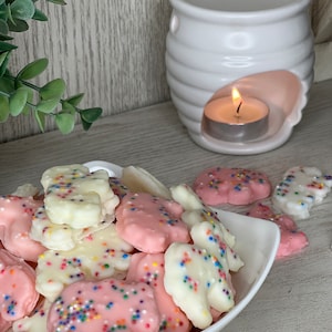 Circus Cookie food wax melt for wax warmer animal cookie food shaped candles fake food wax melt