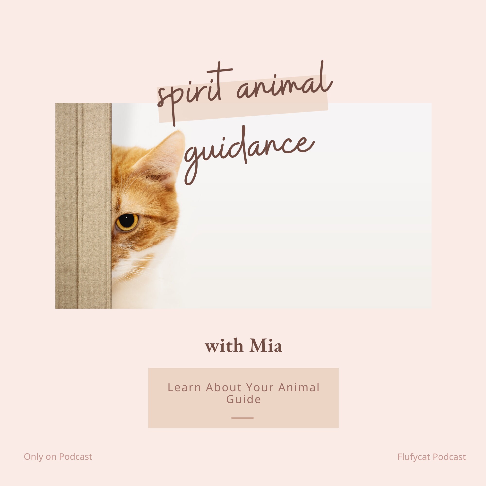Introduction to Your Animal Spirit Guide - Etsy Introduction to Your Animal Spirit Guide - Etsy