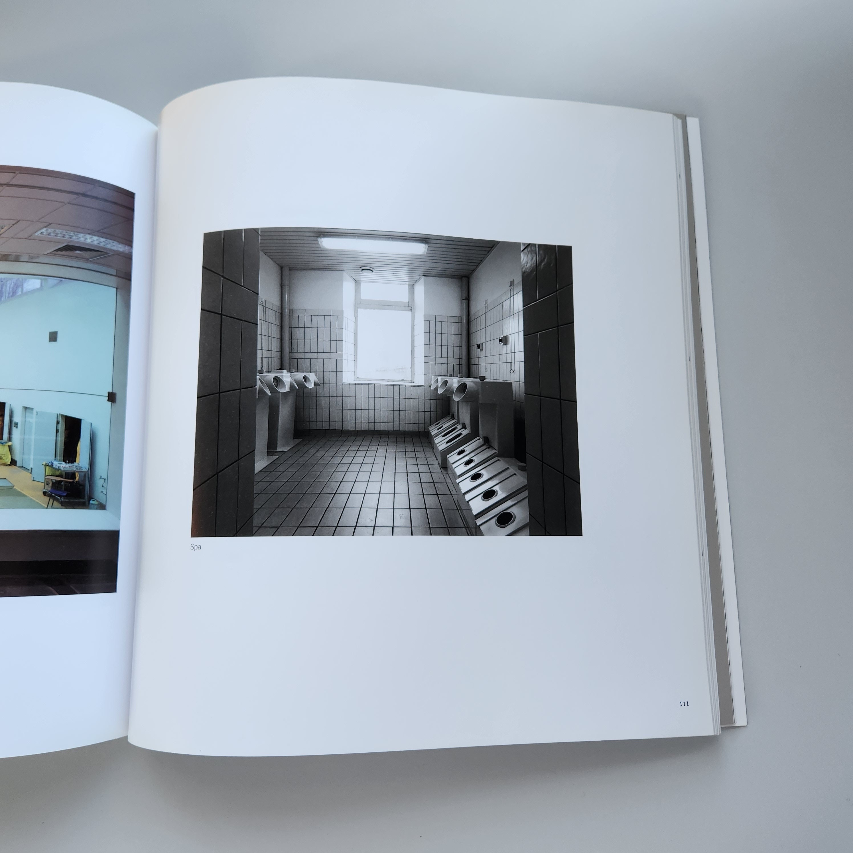 Book, No Man's Land: the Photography of Lynn Cohen, Art