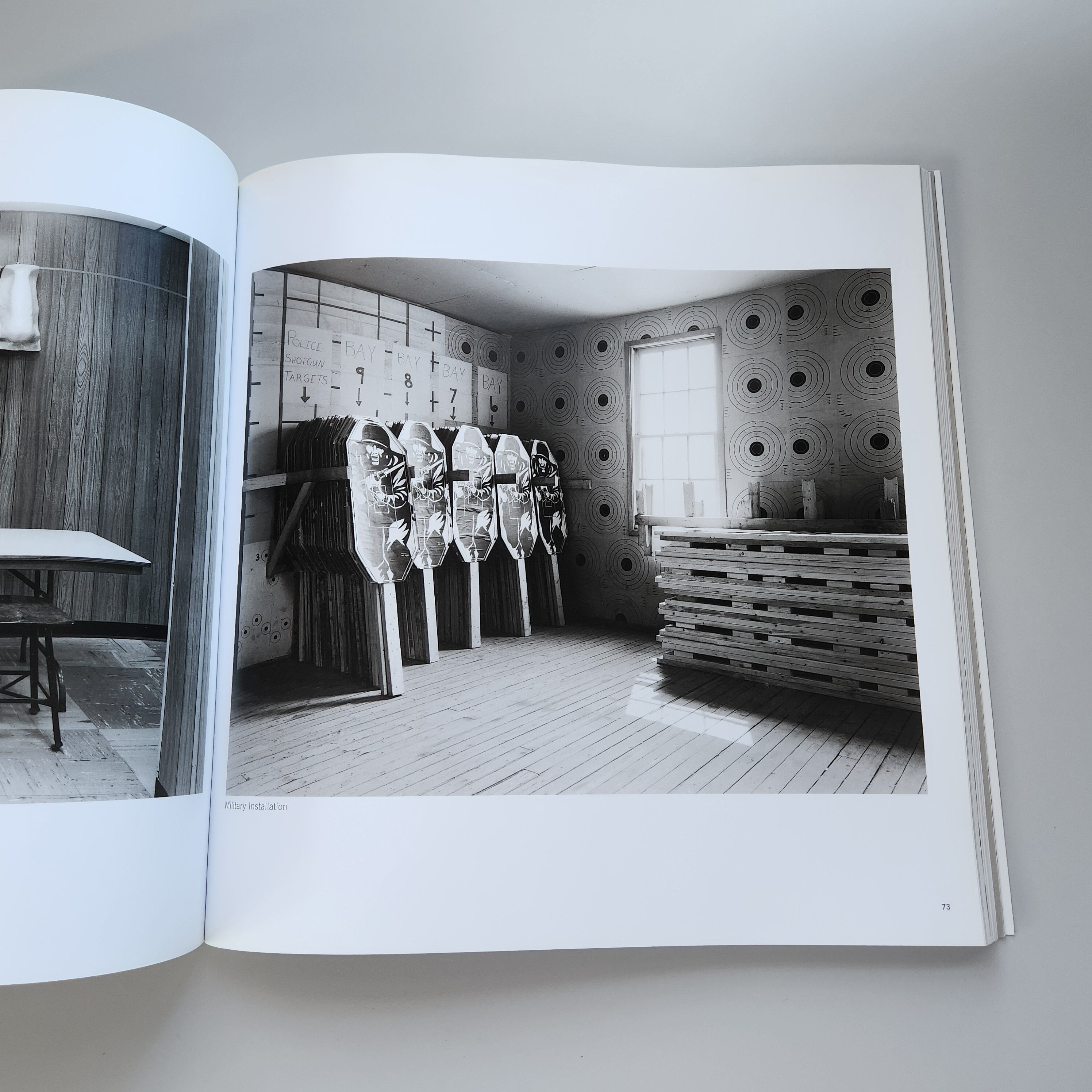 Book, No Man's Land: the Photography of Lynn Cohen, Art