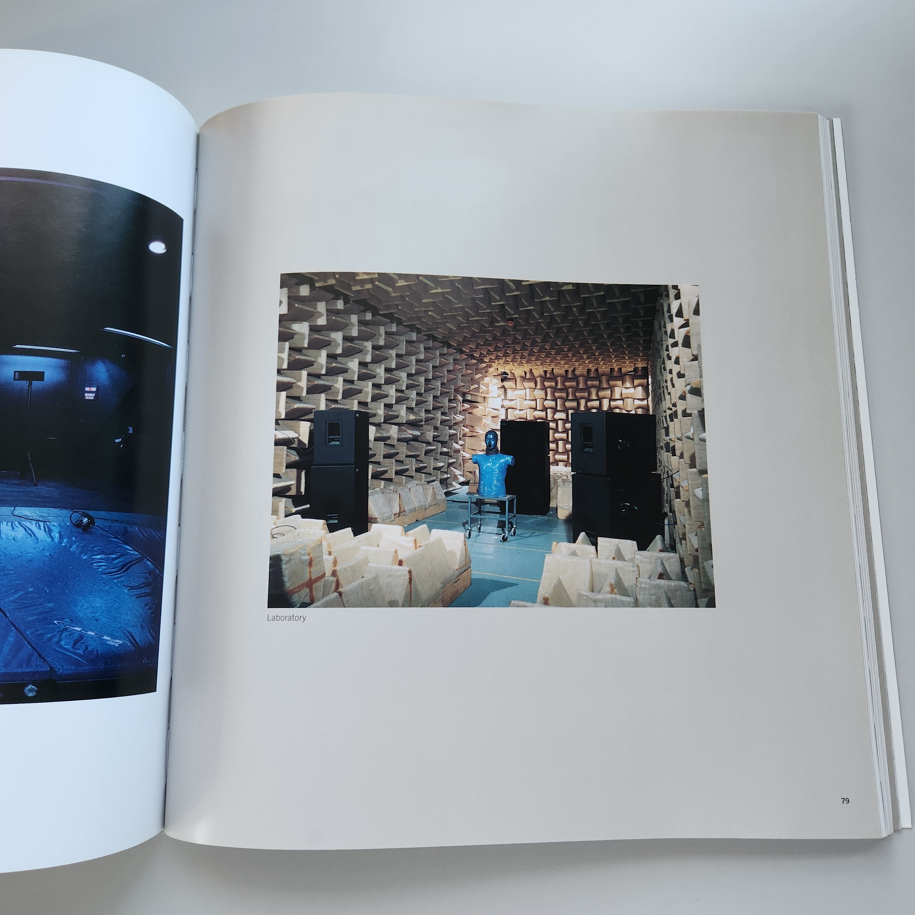 Book, No Man's Land: the Photography of Lynn Cohen, Art