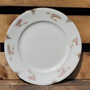 Plate, Dinner, Sold in Sets of 2, F. Winkle & Co. Ltd, &#39;Eatonia&#39;, Porcelain, China, Decorative, Made in England, Vintage