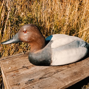 May include: A brown and white duck decoy with a black beak and red eyes. The decoy is lying on a wooden surface.