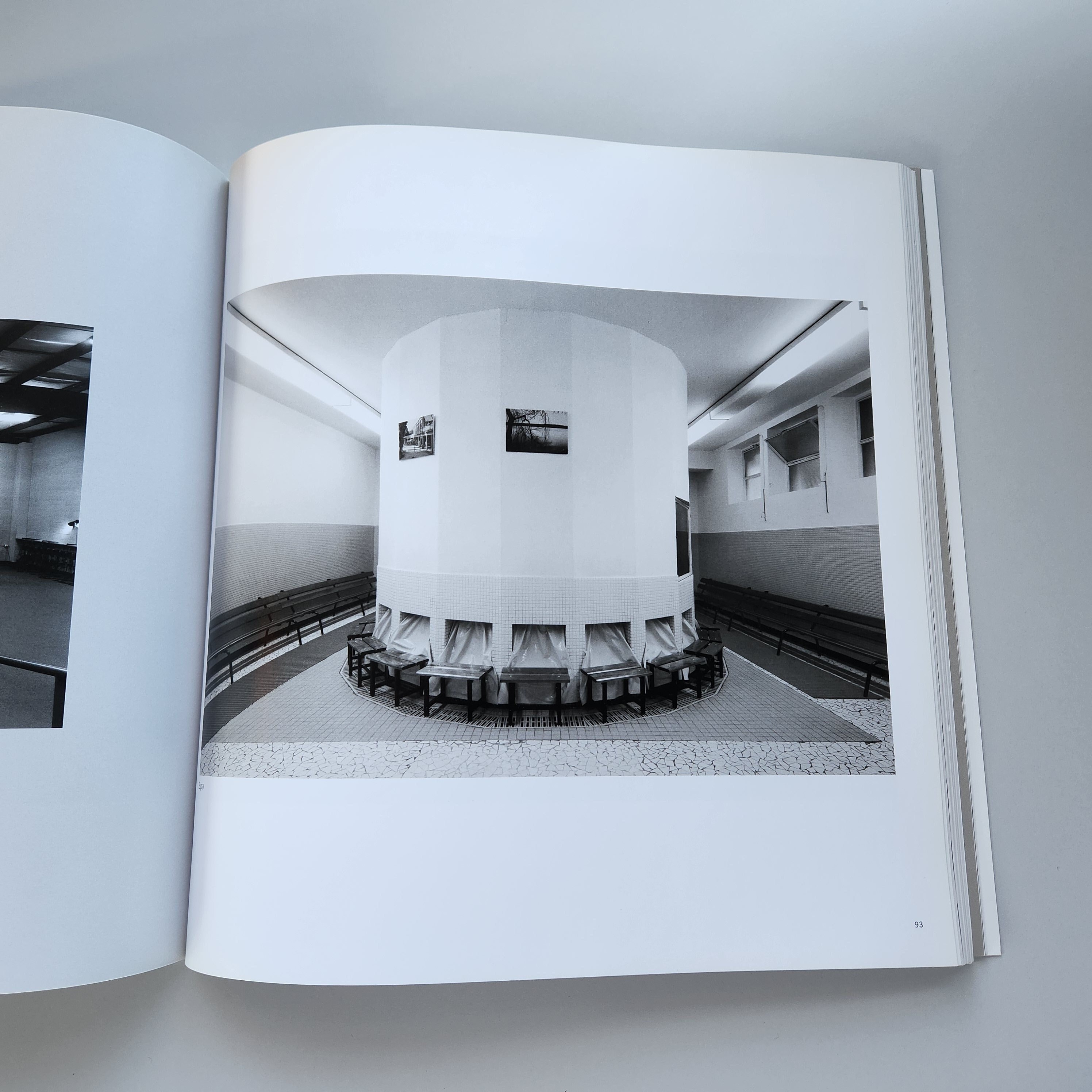 Book, No Man's Land: the Photography of Lynn Cohen, Art