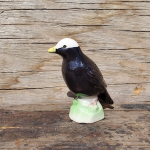 Tetley Tea Bird Statuette #30 &#39;White-Headed Marsh Tyrant&#39;, Tender Leaf, Vintage